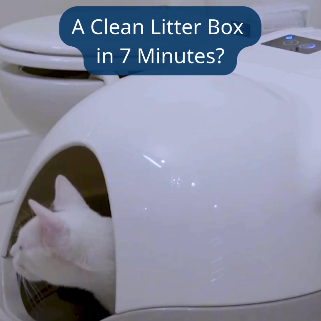 Cat Care Made Effortless