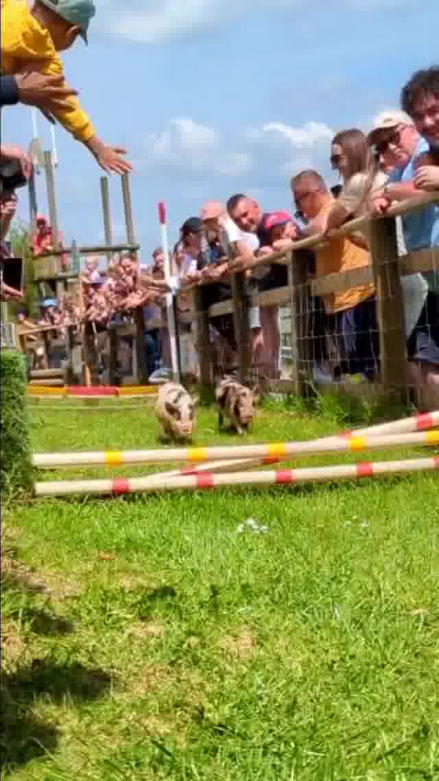 ✨Win this MASSIVE prize worth £746!✨