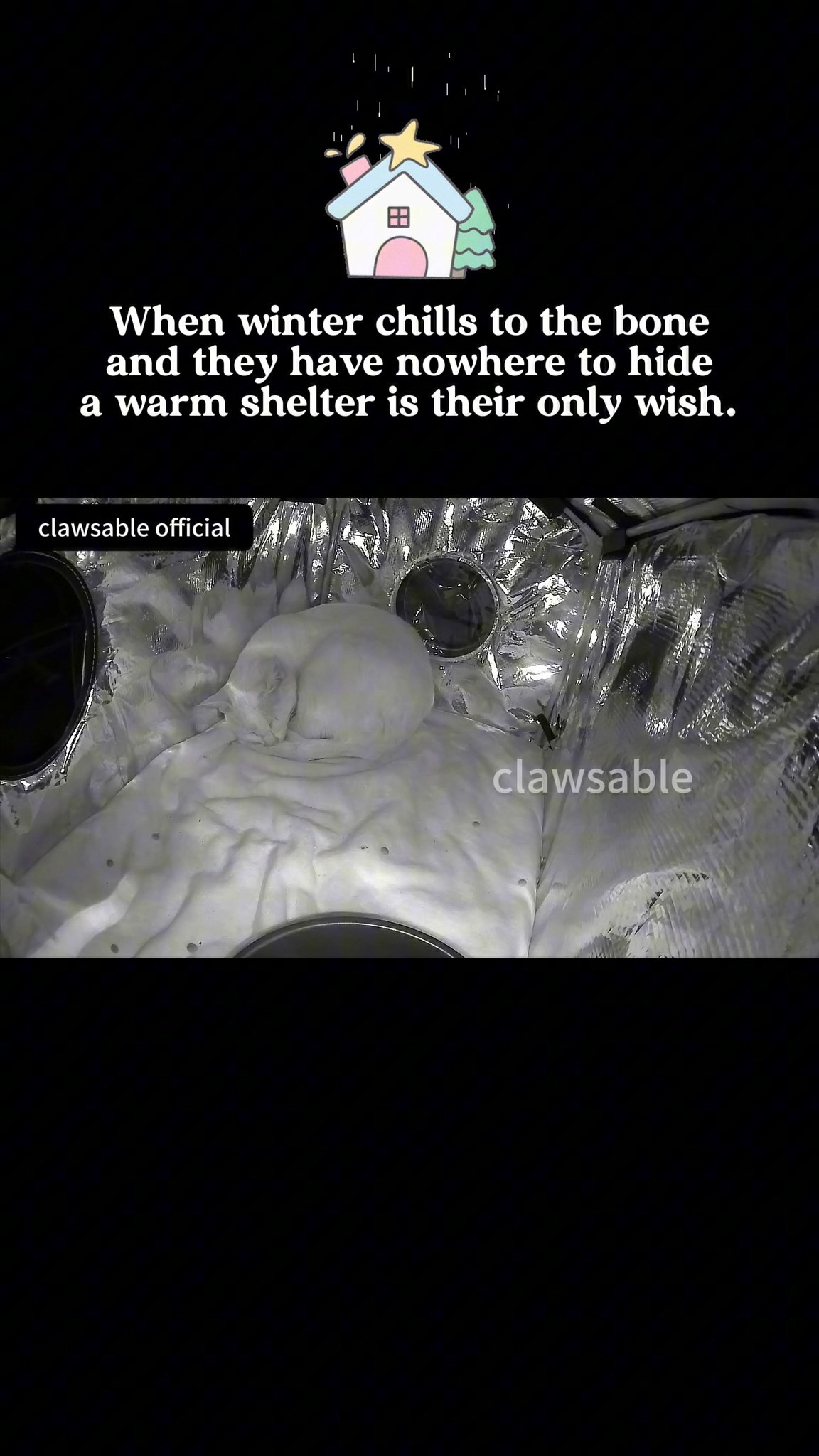 On a rainy night, a little cat appeared.
It stepped inside cautiously, rested for a short while,
then quietly left once it felt it was safe 🌙
#instacat #rescuestory #wintercats #CatCare #rescue #cuteanimals #catcare #catslovers #catagram #bunnylove #straycats #catshelter #straycat #feralcats #cathouse #HappyWorkplace #OutdoorCats #communitycats #catasmr #SurpriseMoment