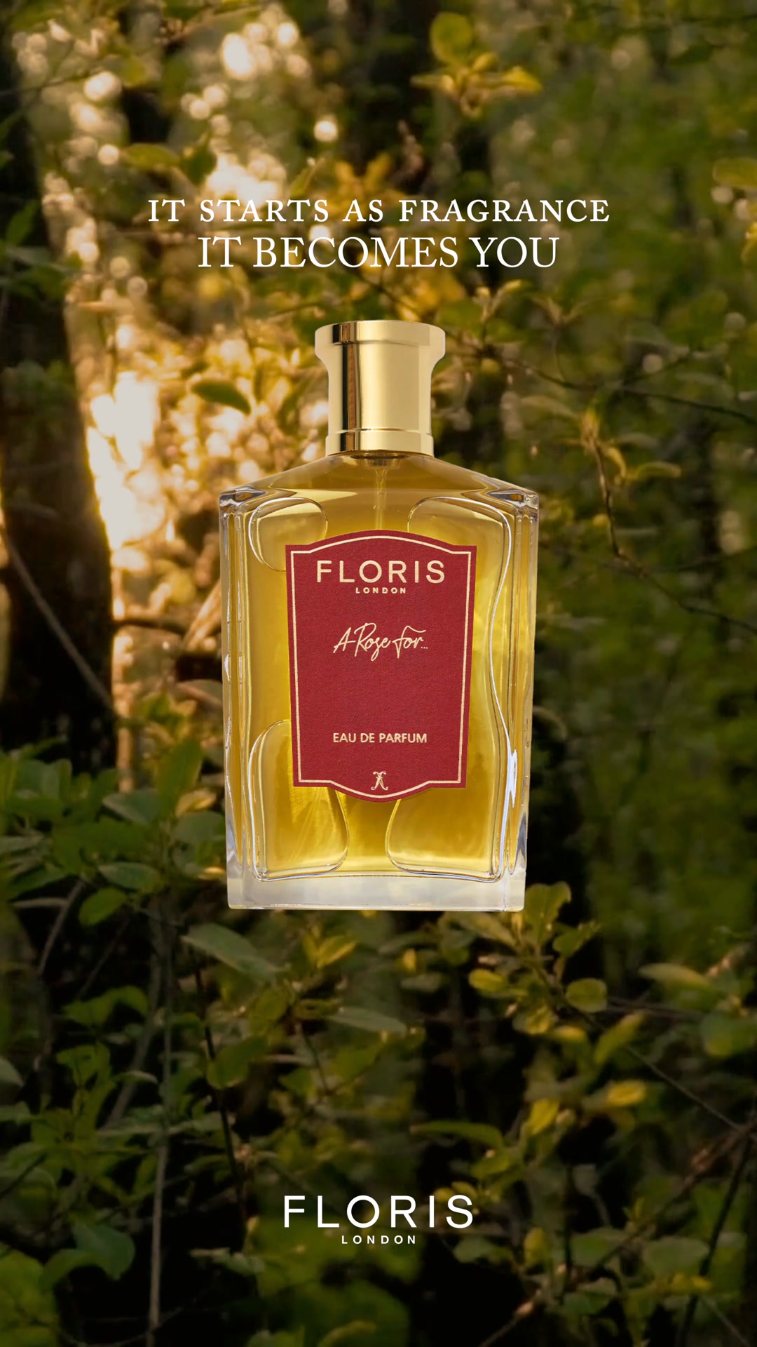 Characterised By High Quality and Timeless Elegance 🌸