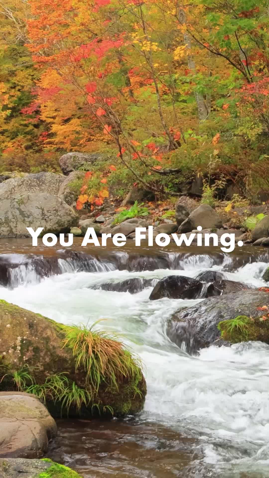 Super Safe. Super Absorbent. Super Comfy.