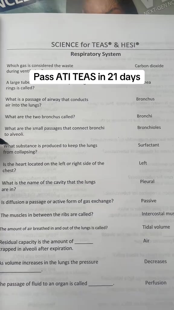 TEAS Prep, Simplified