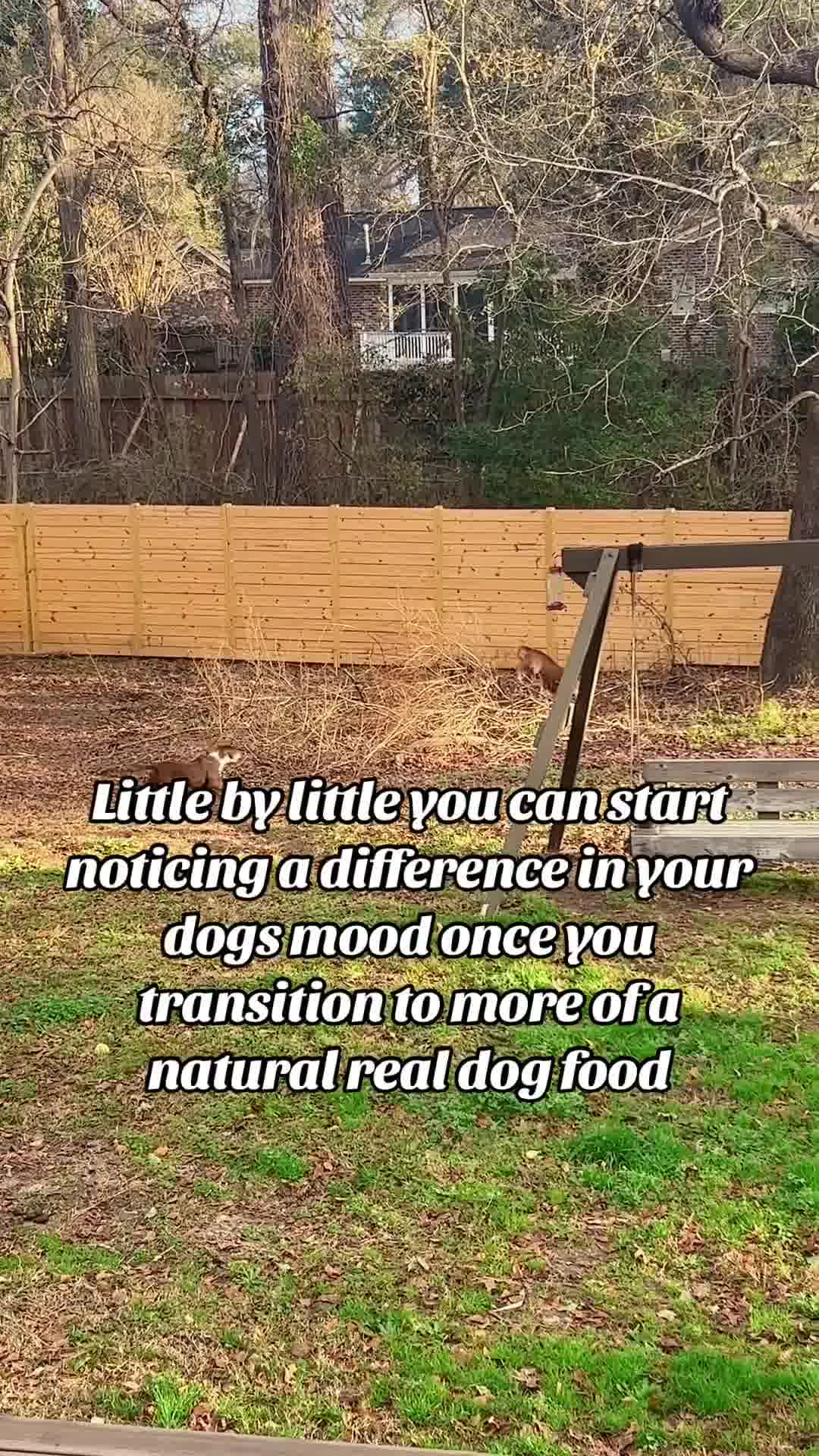 Make the switch to shelf stable, human-grade dog food with Happy Howl.