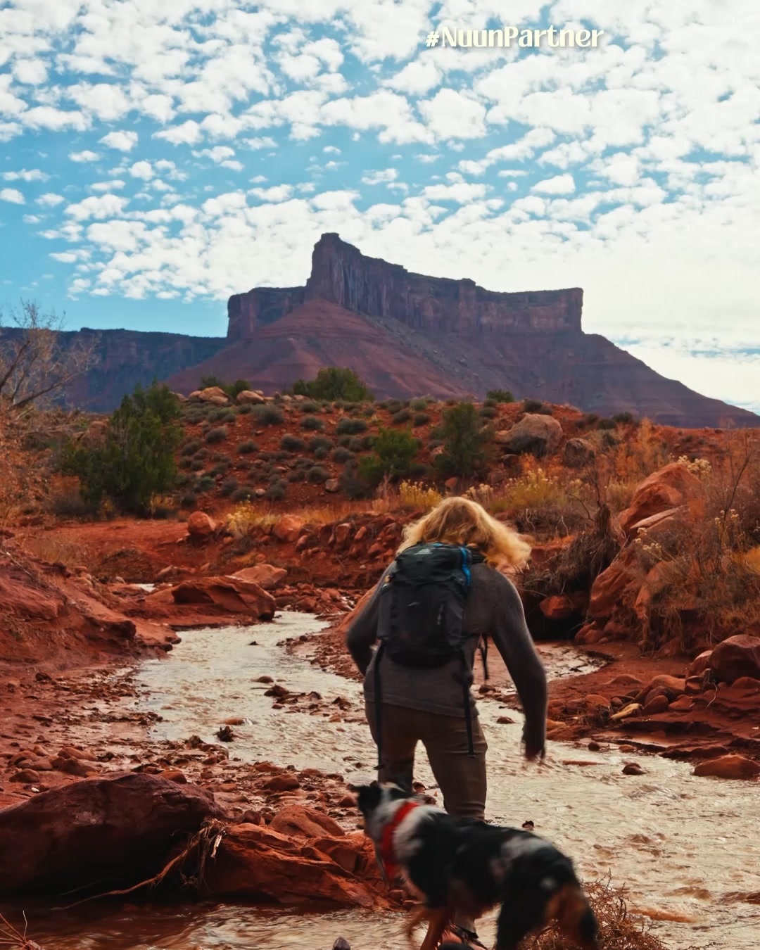 Desert Hydration Hack 🌵👀