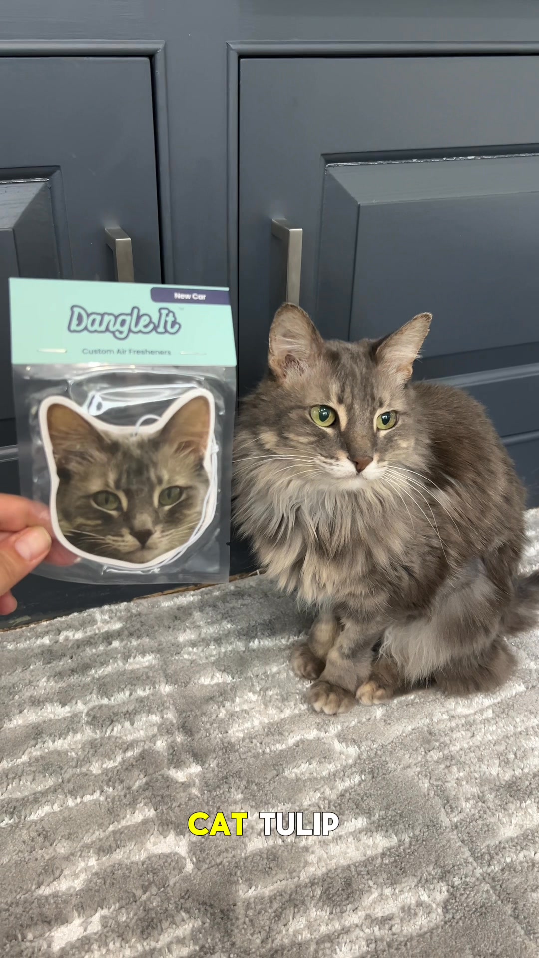 Customize Your Air Freshener HERE 👉