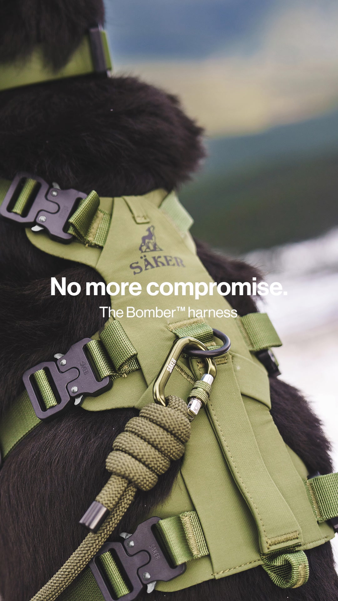 Car safety. Trail ready.