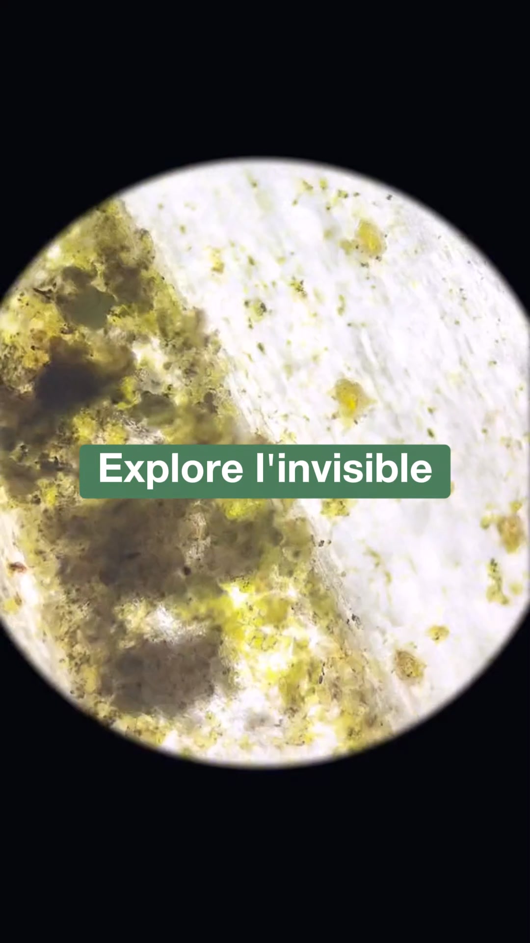 Vos enfants ne s'en lasseront jamais 🤩