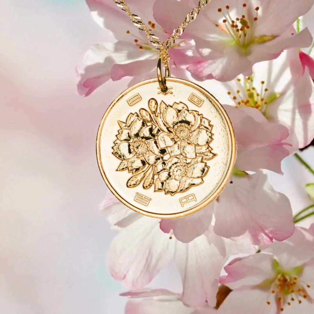 Our Latest Collection Is Live ✨