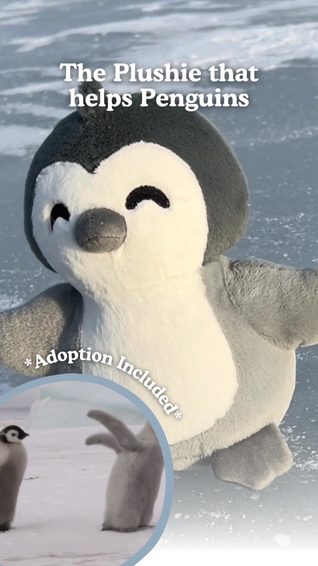 The best gift ever ! 🎁