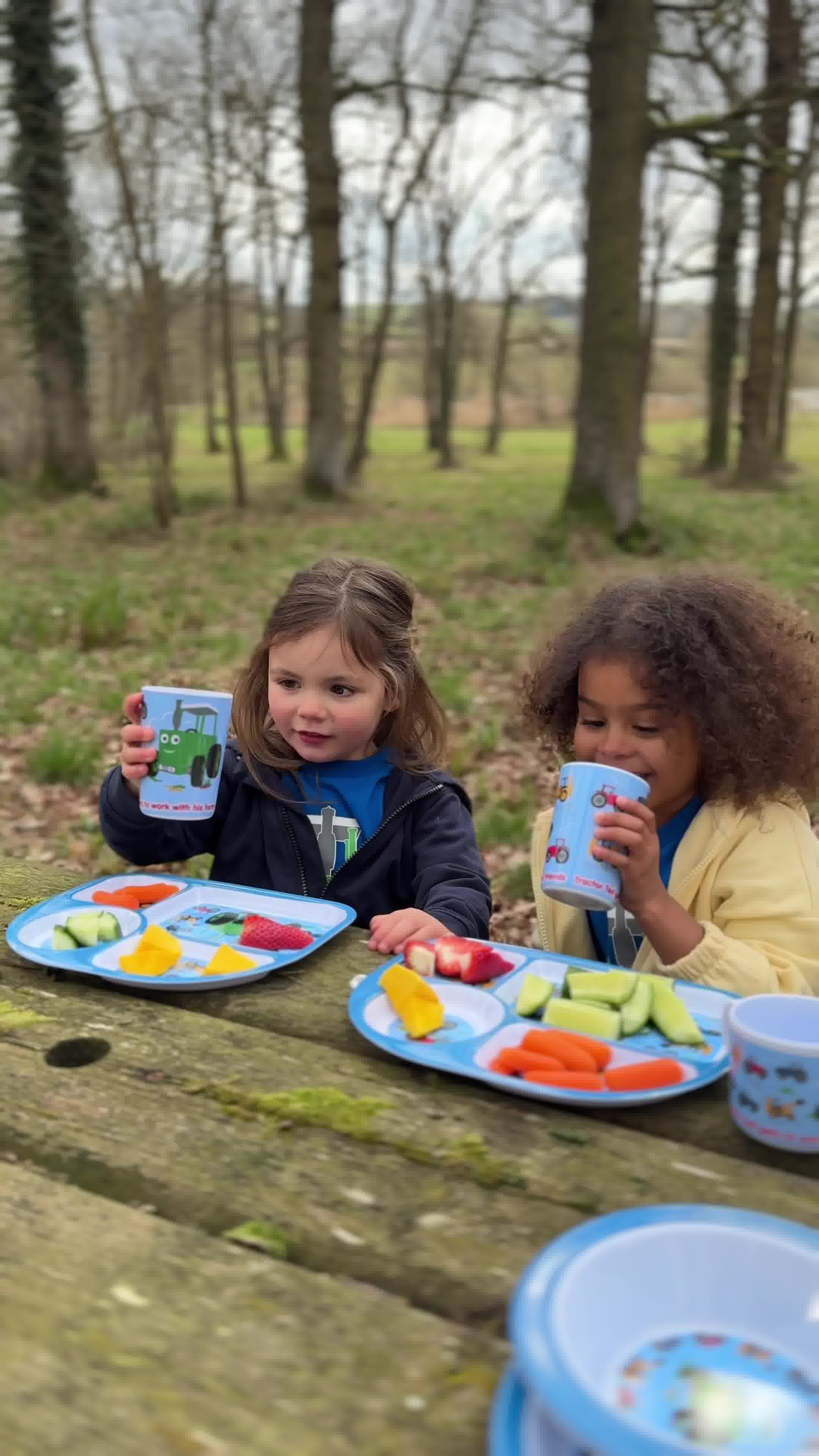 Shop Tractor Ted for Mealtimes