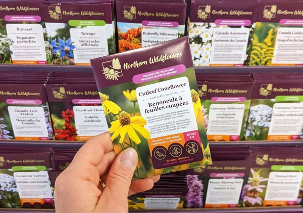 Native Wildflower Seeds for the North | A Canadian Company