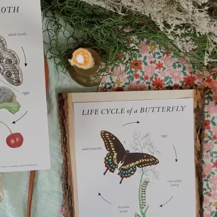 ⭐ BIGGEST SALE OF THE YEAR ⭐