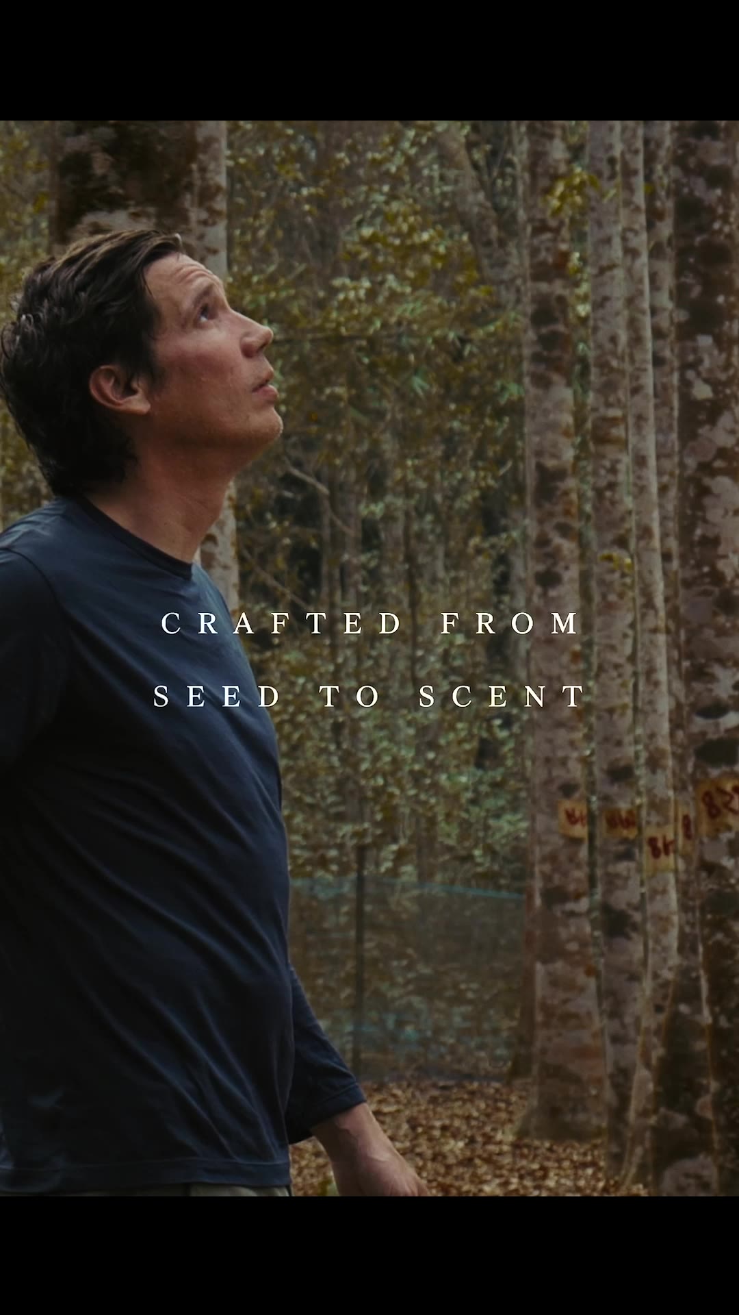 Crafted From Seed To Scent