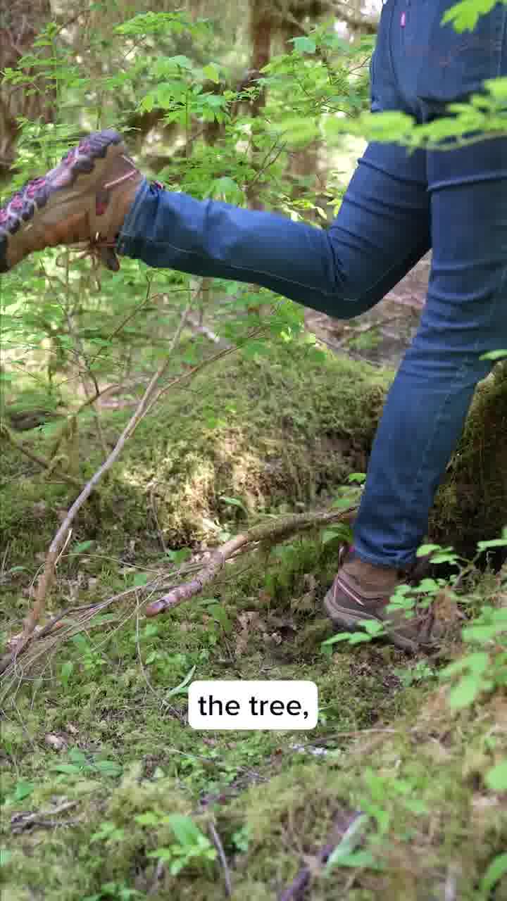 Learn more about the world of mycology