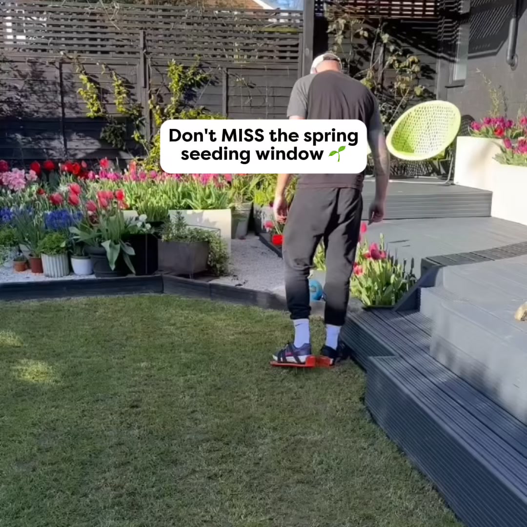 Don’t Miss The Window 🏡