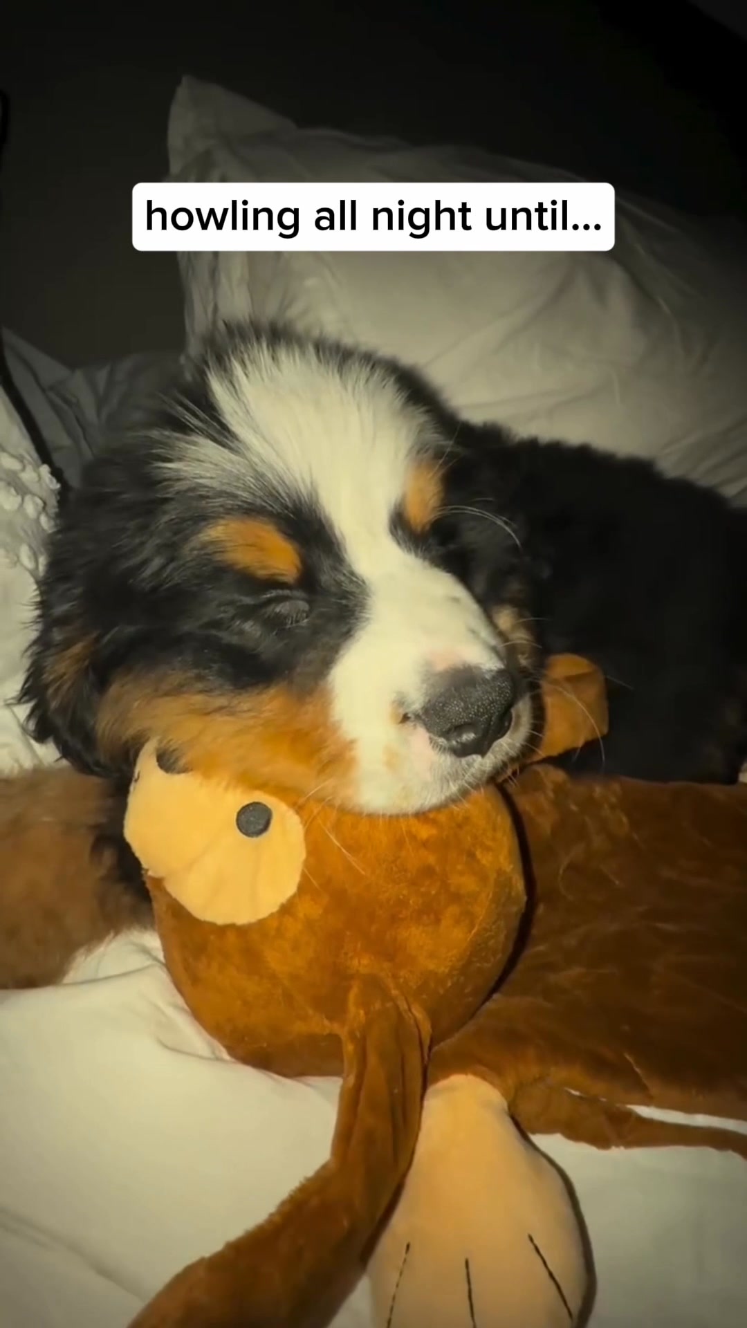 ... I got a Riff Raff.