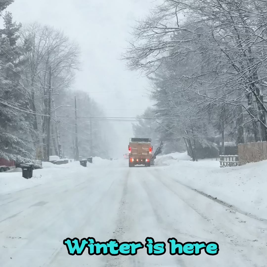 $299 Special | 6-Year Warranty Included 🛡️