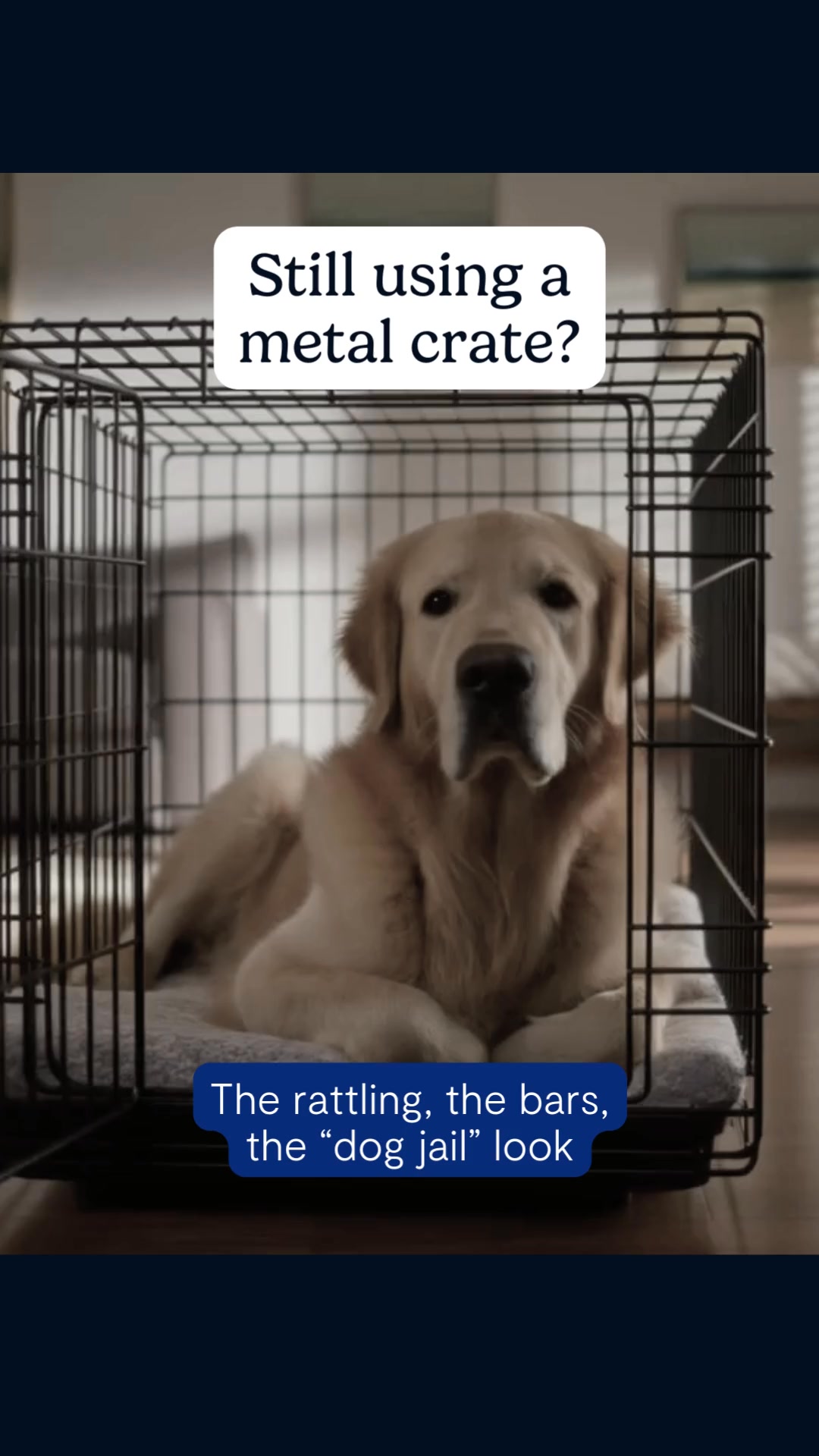 Finally, A Crate Your Dog Runs To (Not Away From)