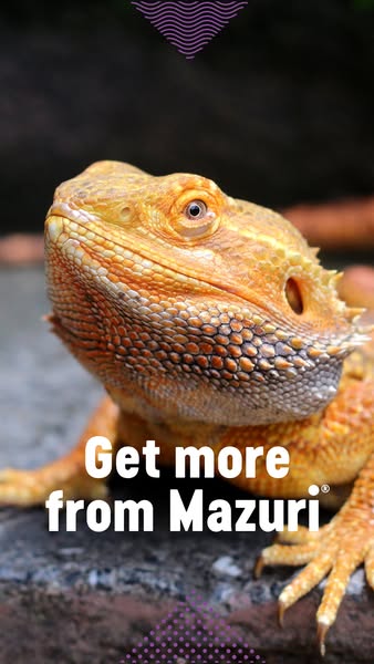 Want More Mazuri? 📮