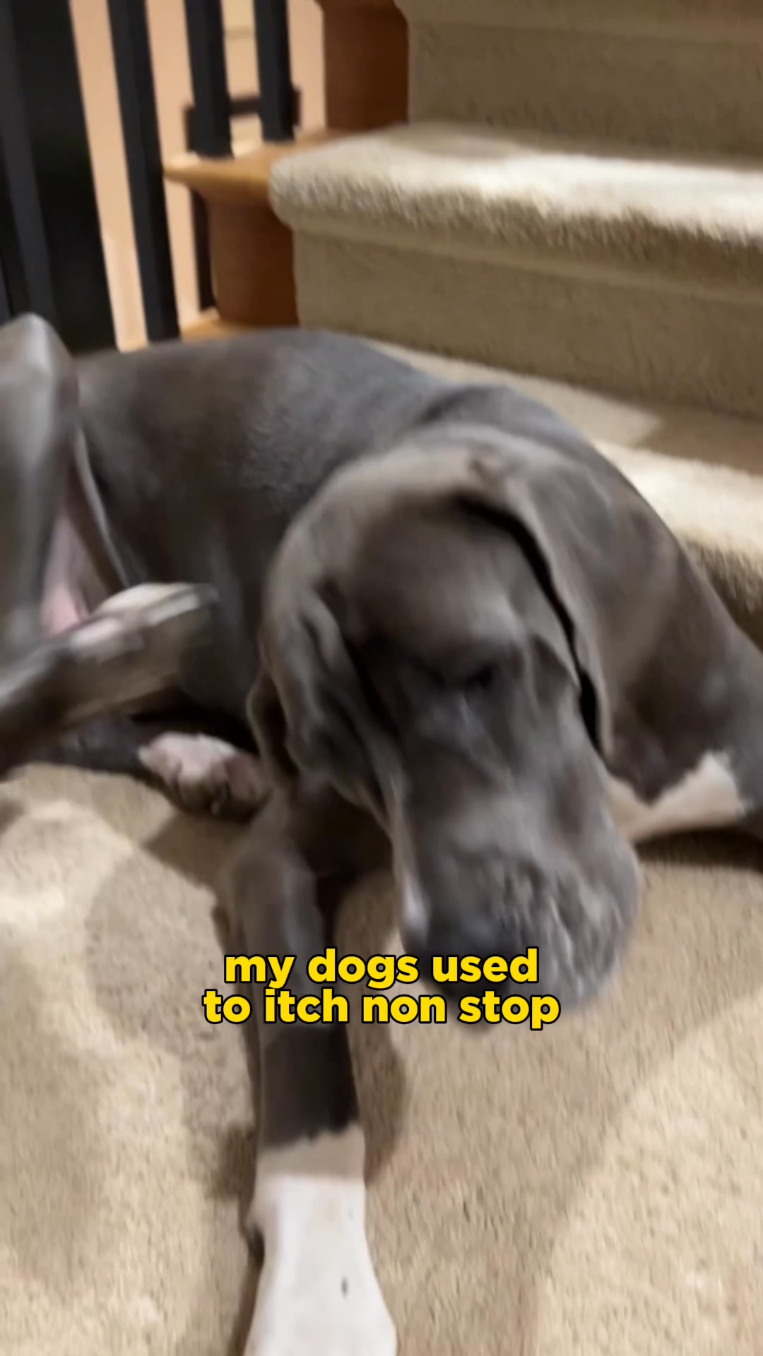 Get 40% OFF Your First Order