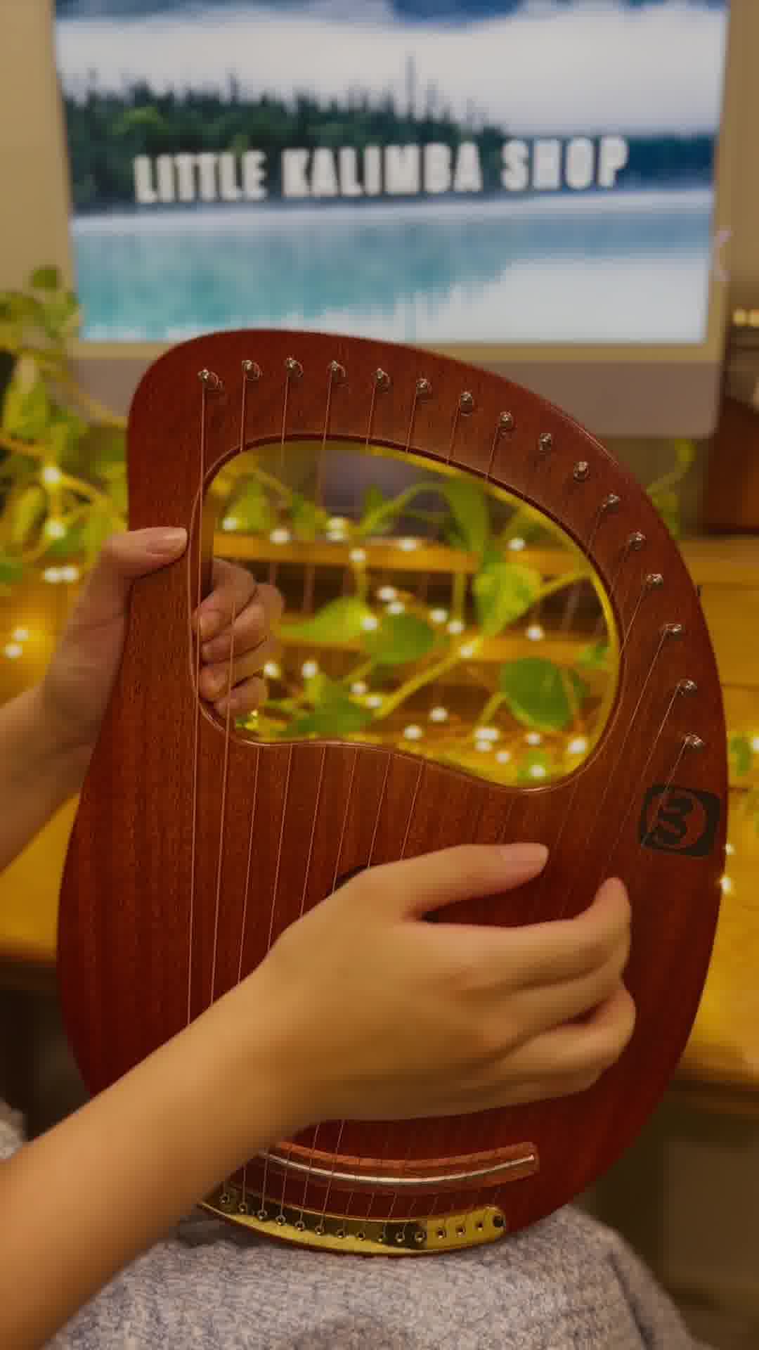 Lyre Harp Cover Scarborough Fair