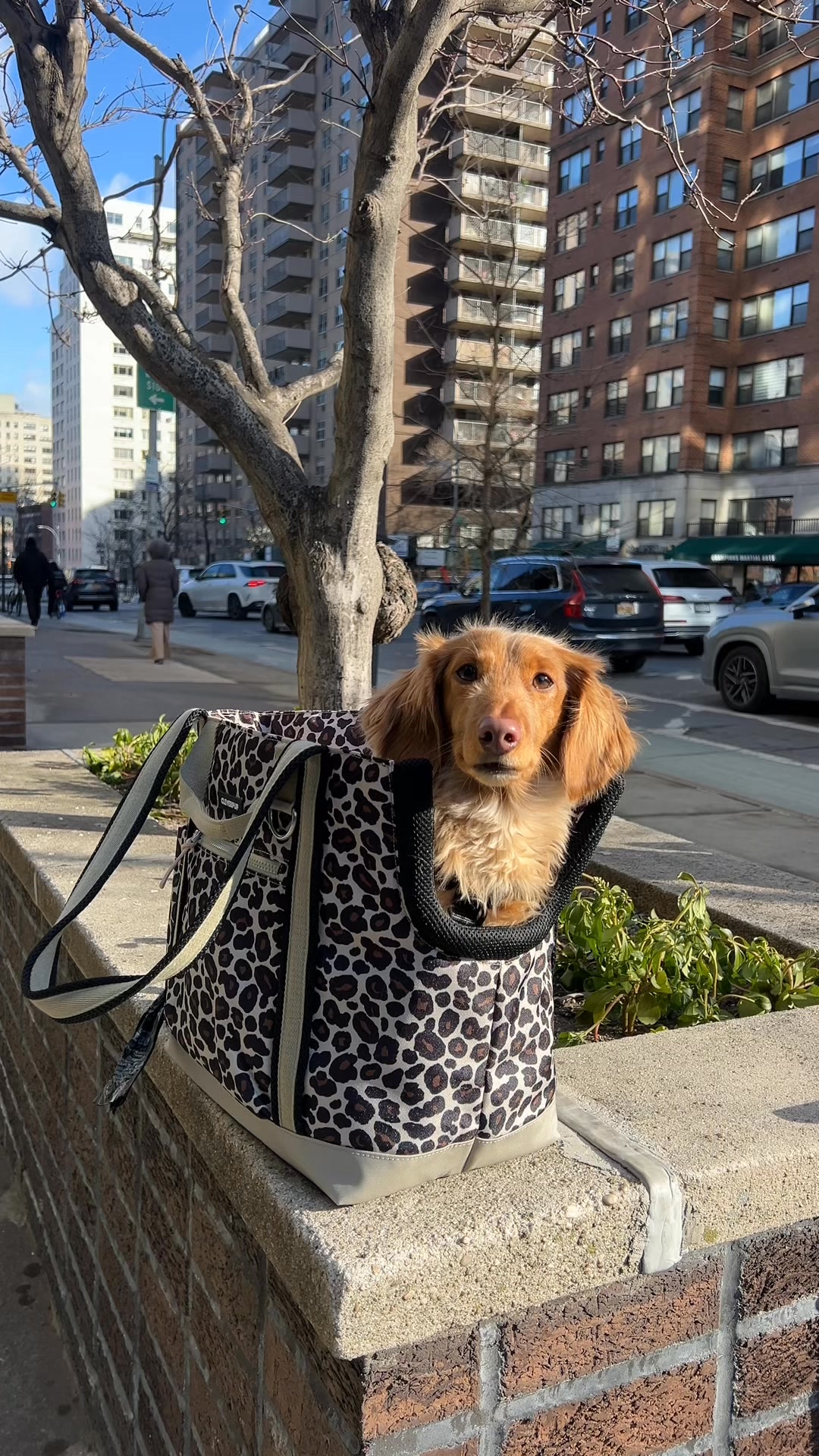 Meet Our Ultra-Chic Transit Tote