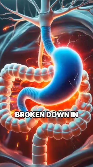 Deep Comfort Starts Here