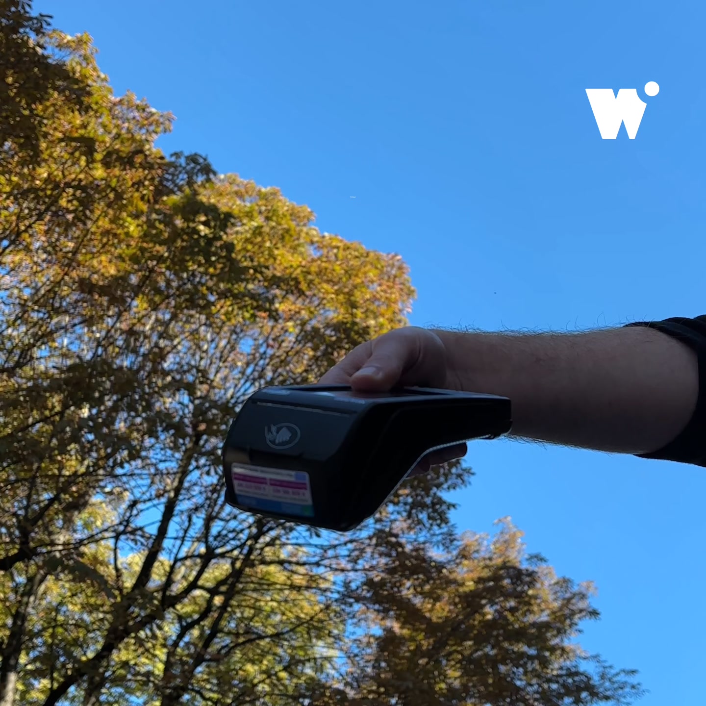 One Piece en édition limitée