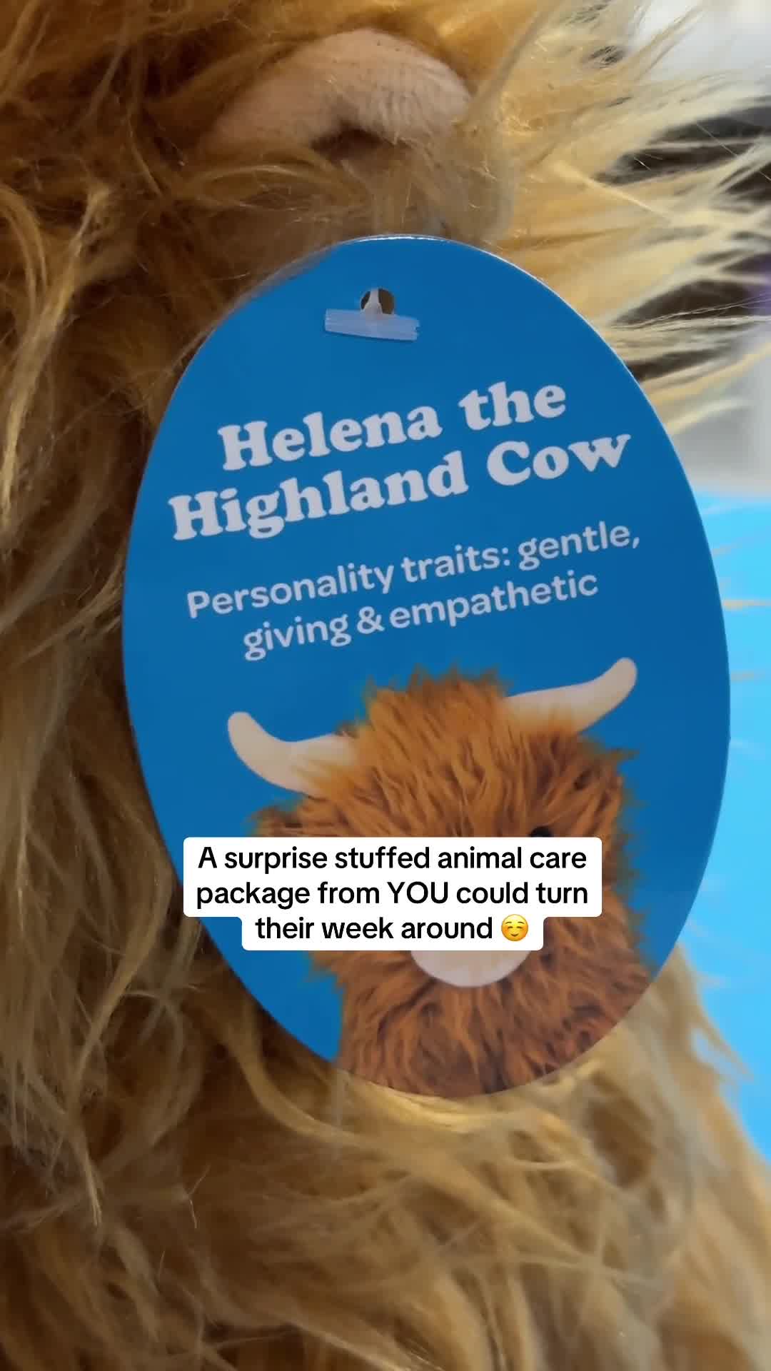 Send a Care Package Today 💙