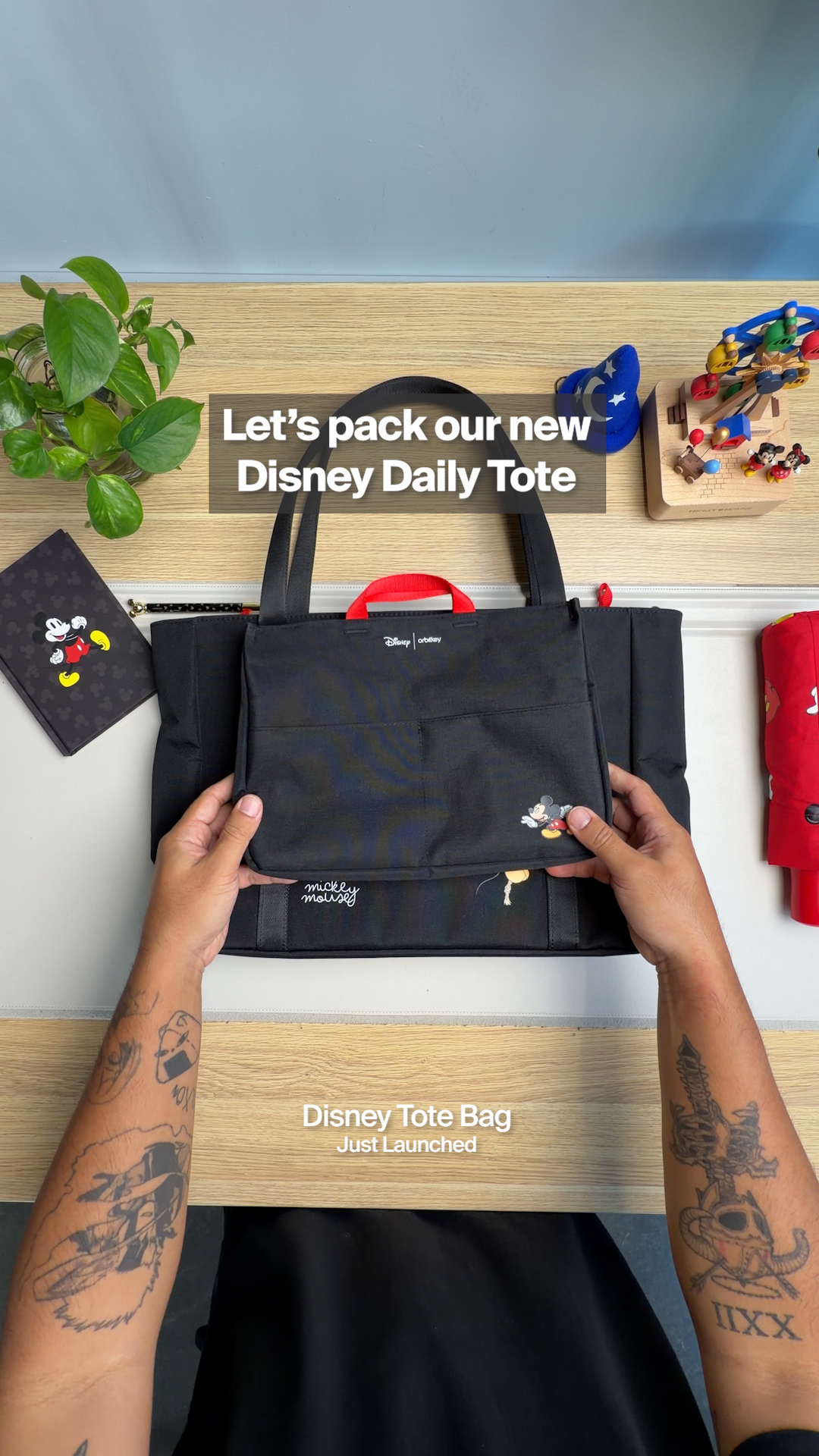 Disney - Daily Tote