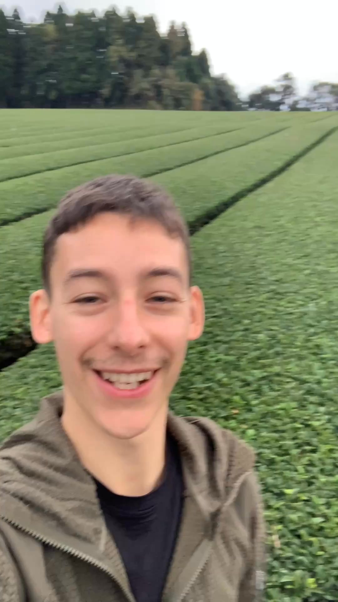 Le matcha bio d’exception, cultivé à l’ombre au Japon 🍵