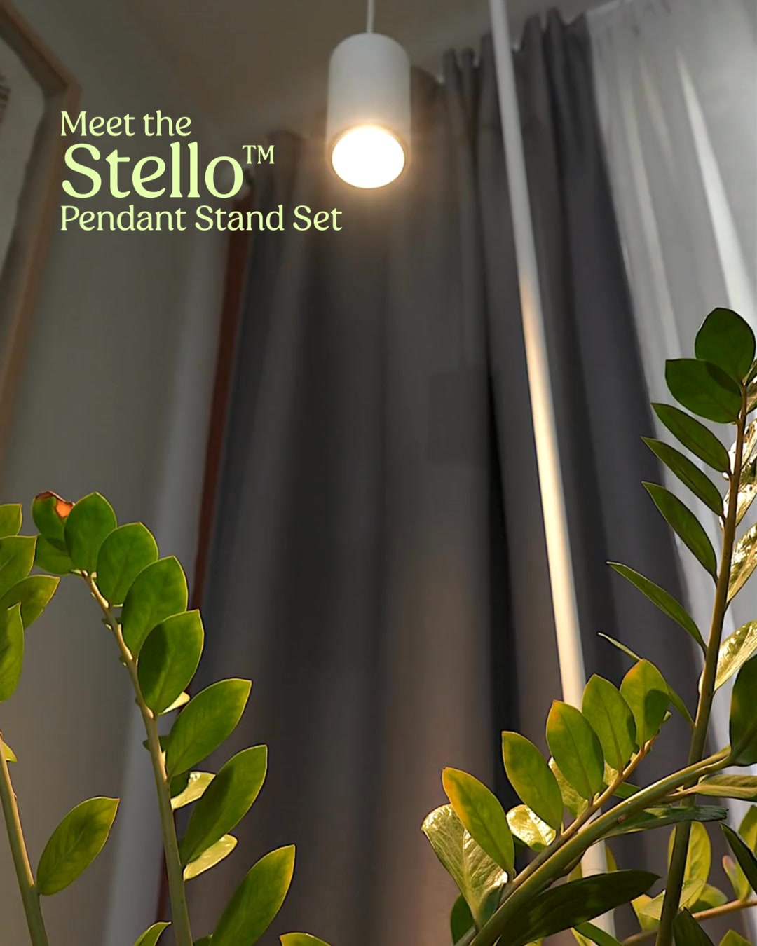 Reserve Now: Plug in, and get growing! 💡