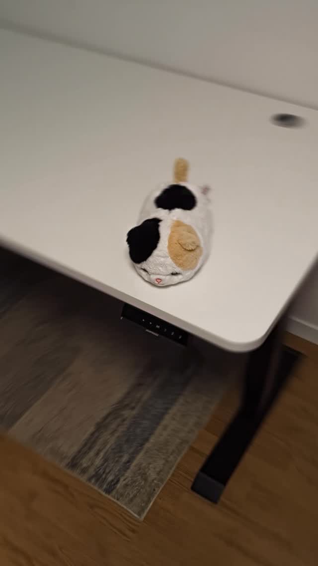 Now my cat has the best table in Lithuania 

Desktronic HomePro (160x80)

For me, as someone who spends almost 24/7 at the computer, being able to work standing up has really saved my back. The minimum height is about 63.5 cm, the maximum is about 128 cm, and it feels like it could support even my entire weight without any problems (it actually managed to lift me without any issues). I would say that this is the best desk I have ever used.

If you’re looking for a desk, check out Desktronic. The promo code Karnawa1 gives you a discount, delivery to DE/FR/PL/NL/BE/DK/SE. 

#setup #techtok #edit  #gamingsetup #desksetup #gamersetup #gamingsetup #setupinspiration #gamingroom #gamerlife #pcgaming #gaminggear #gameon #gamingcommunity #setupgoals #gamer #foryourpage #fyp