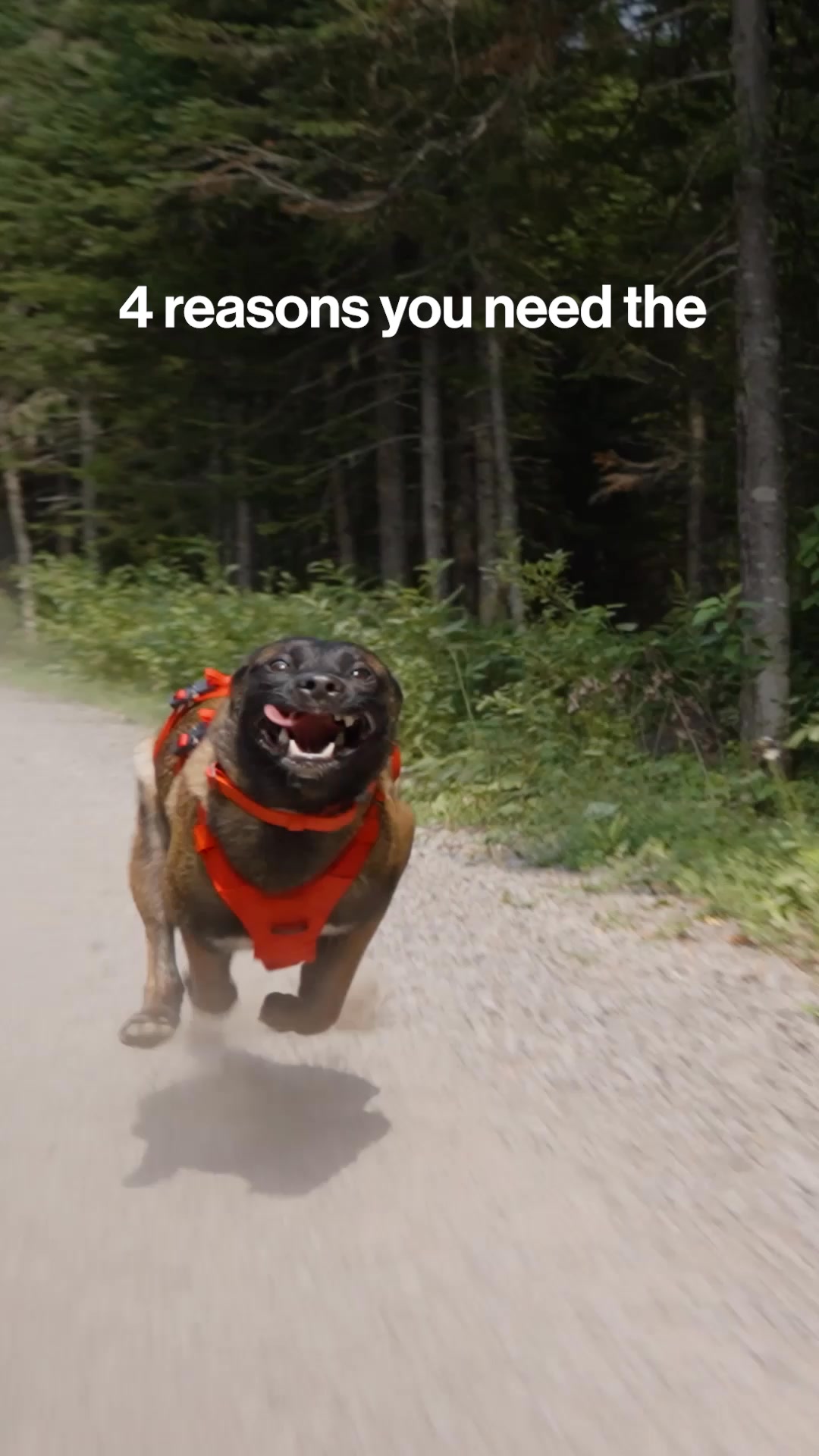 Car safety. Trail ready.