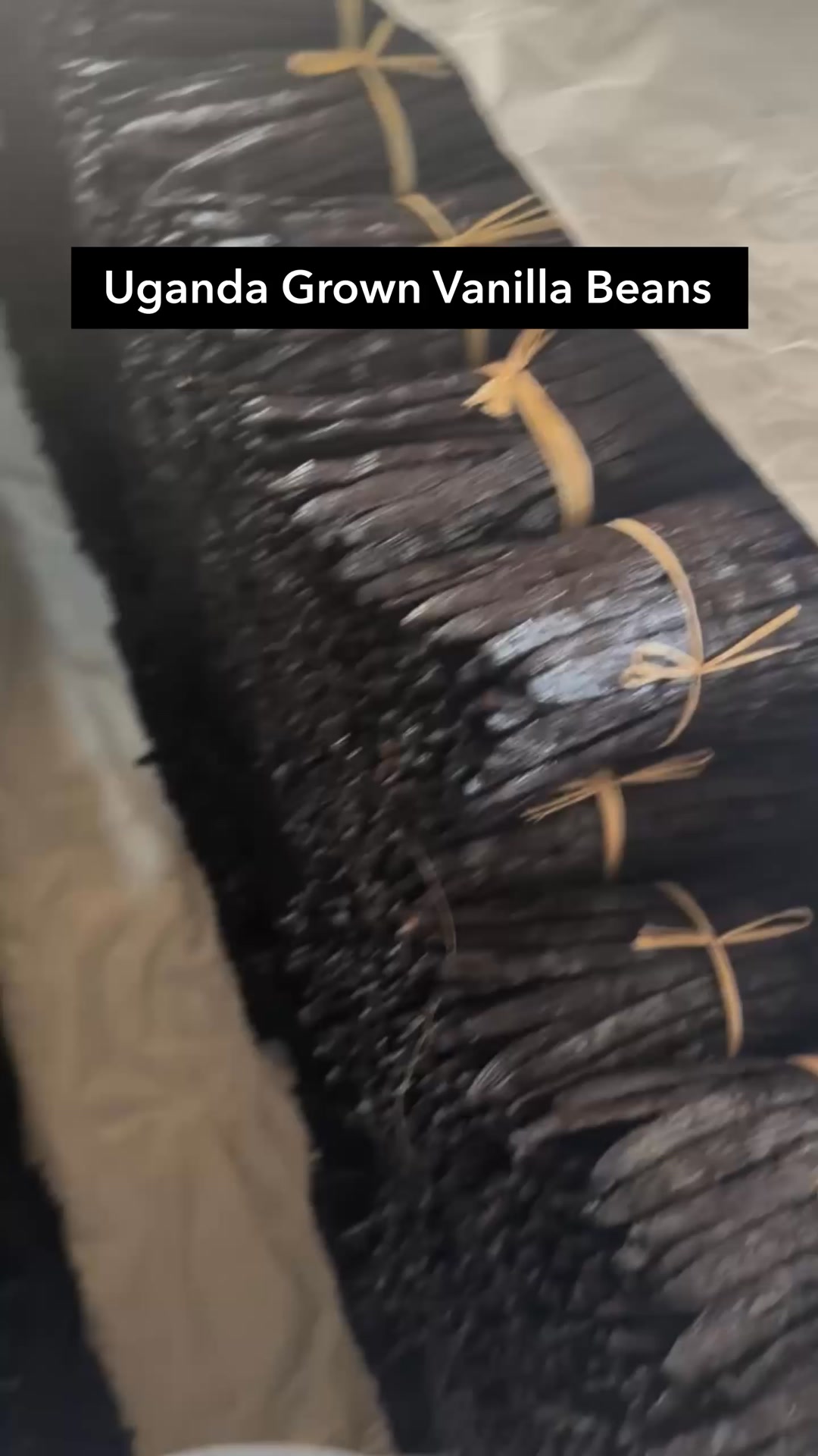 Where Our Vanilla Begins