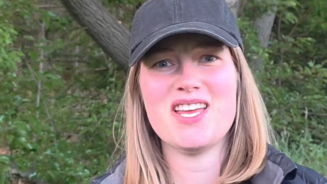 Try the best moisturizer today