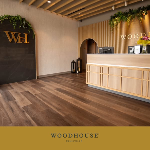 Explore Our Services