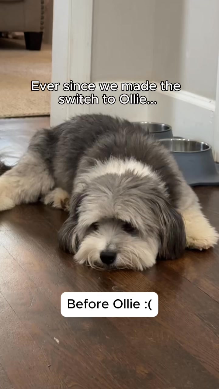 100% Human-Grade Ingredients for Your Pup