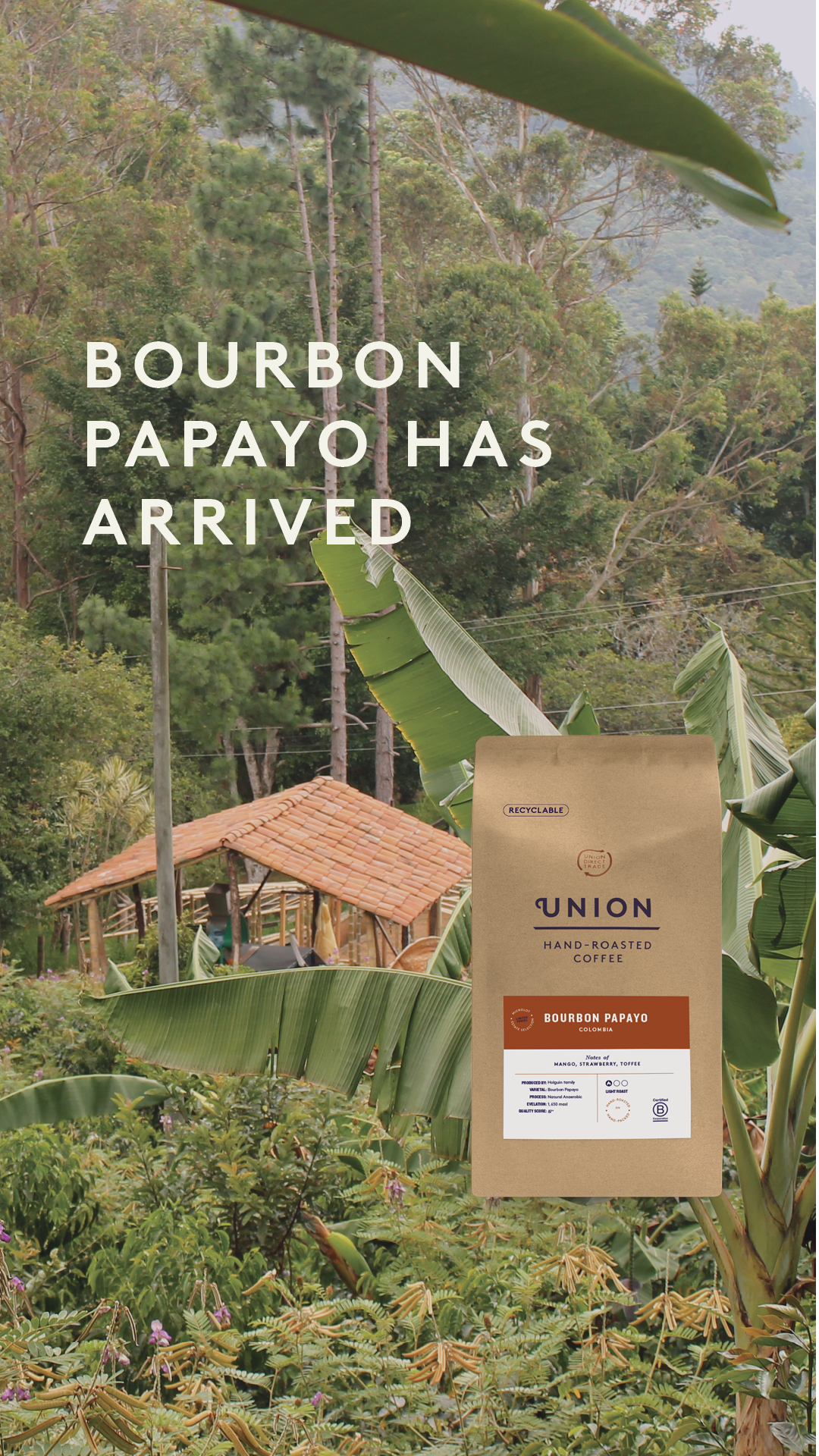 Rare Varietal. Small Batch. Freshly Roasted.