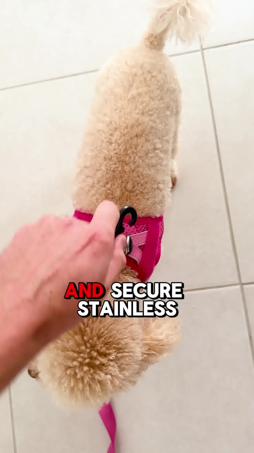 FORMFIT Mesh Harness