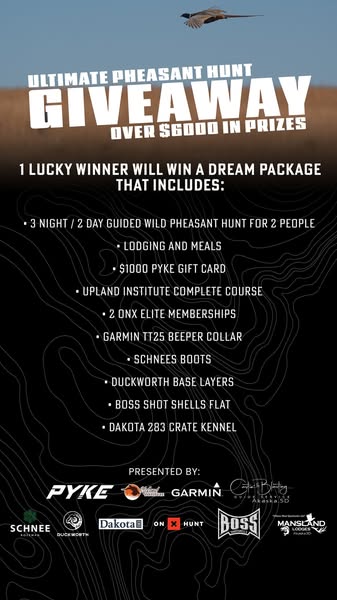 Click the link below