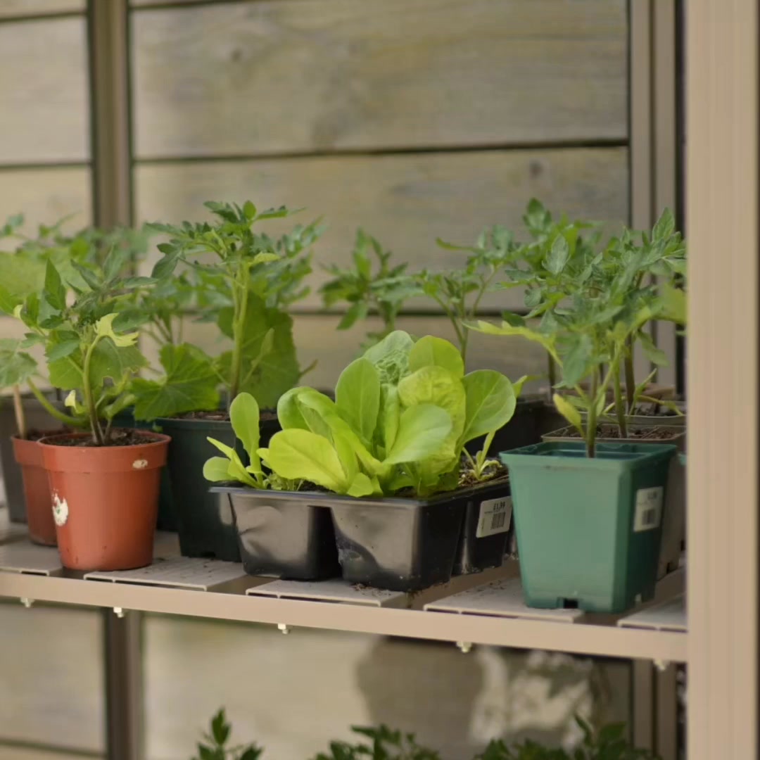 Rhino Greenhouses