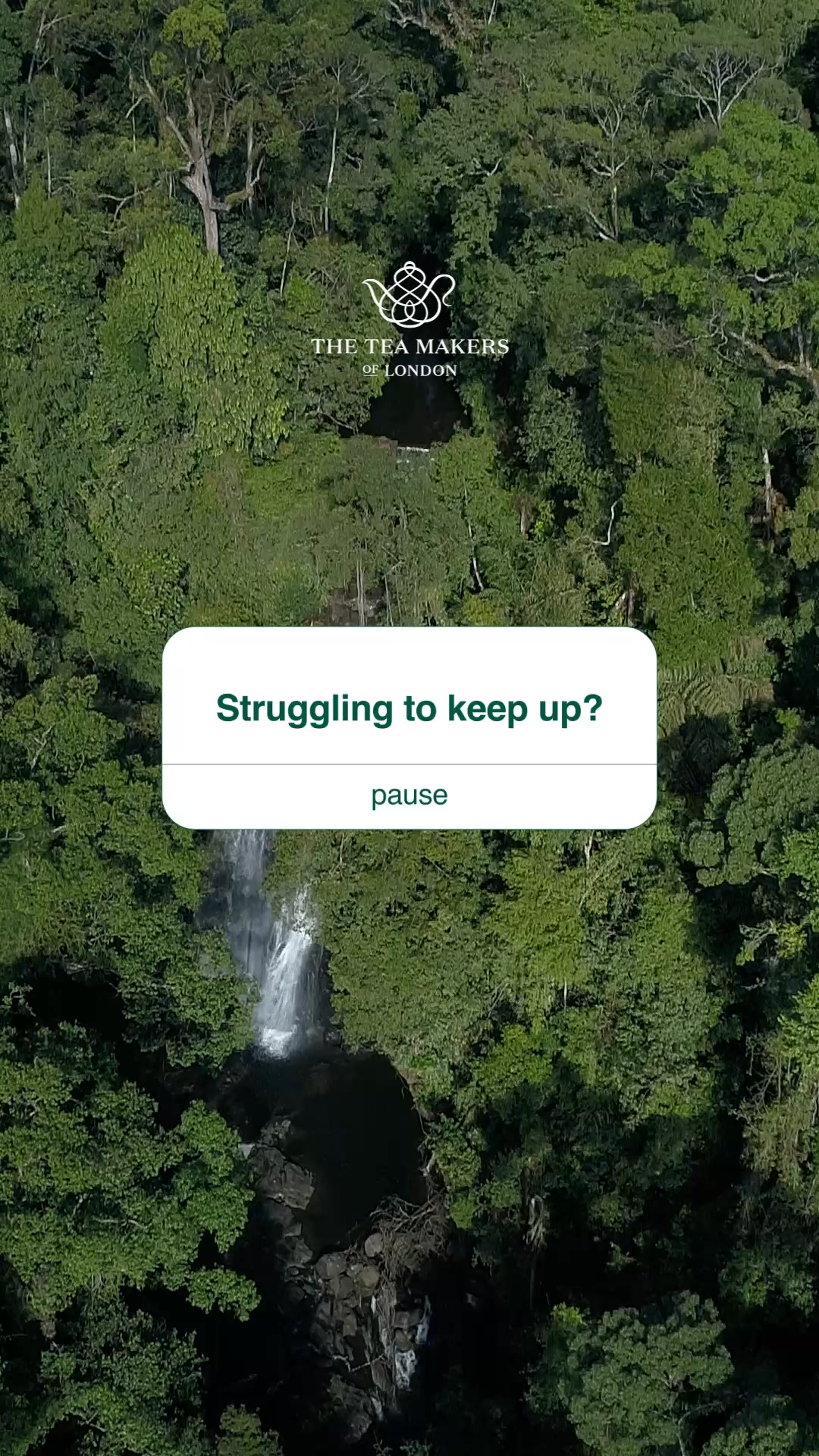 The Tea Makers Of London