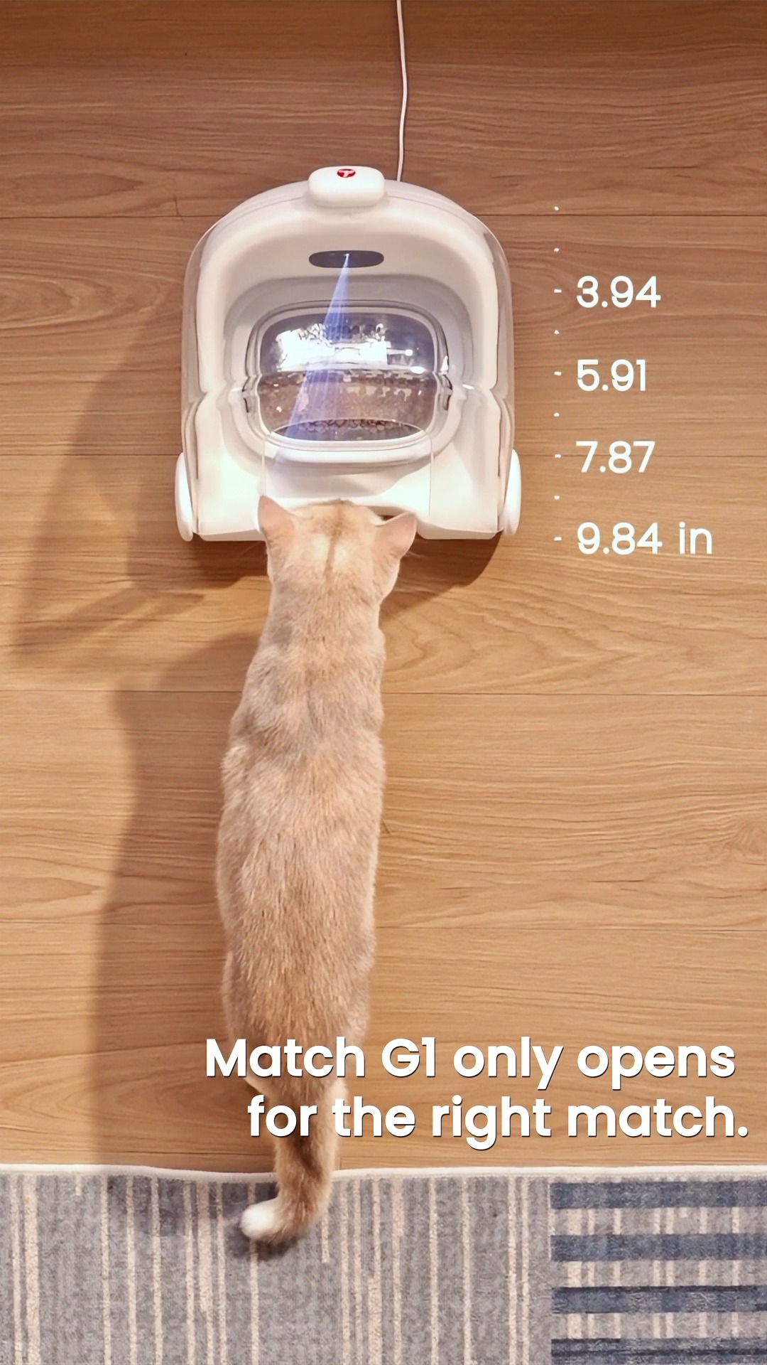 Swipe right for the perfect match. 🐾

Not every match is meant for your food bowl — but Match G1 always gets it right.
With AI visual recognition, each cat is matched to their own meal, stopping food stealing in multi-cat households once and for all.

Match By Sight. Feed Right.
Because every cat deserves the right match. 💗 

#cheerble #catfeeder #MatchG1 #ValentinesDay2026 #datingadvice #perfectmatch