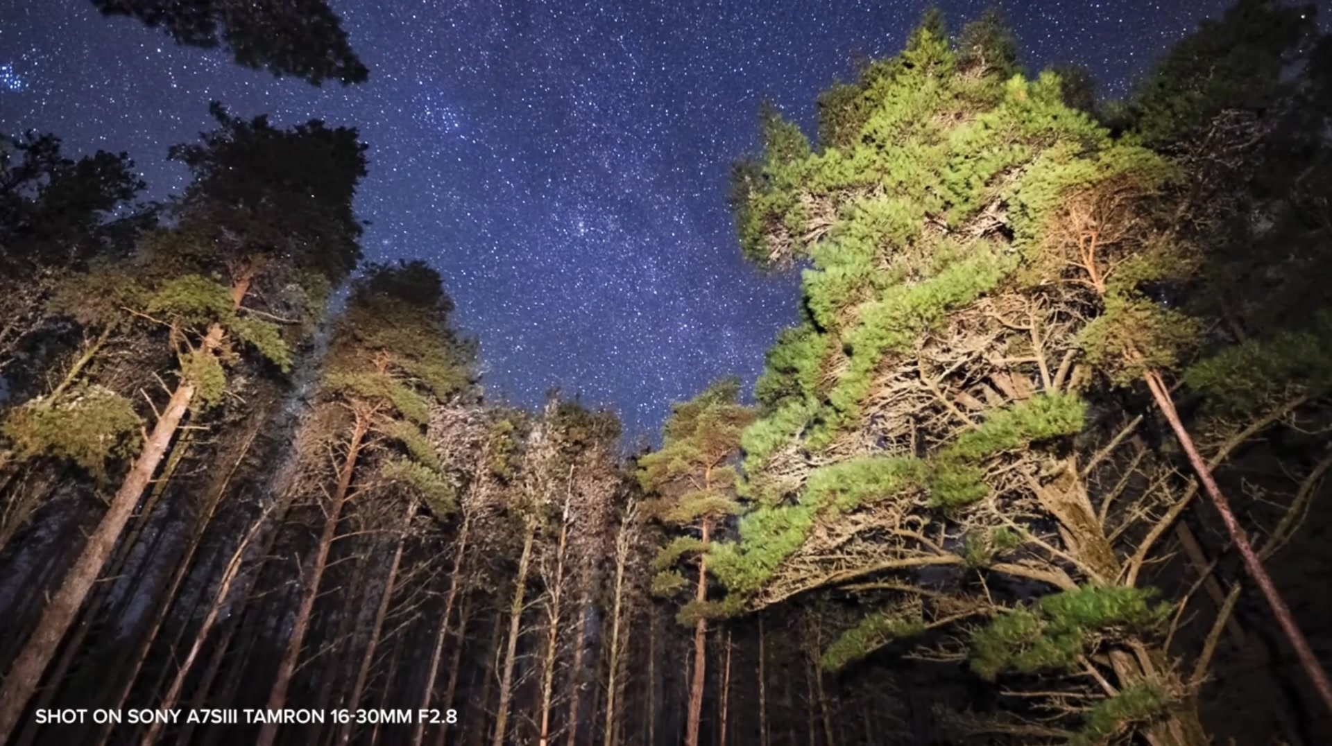 The cosmos is waiting for you