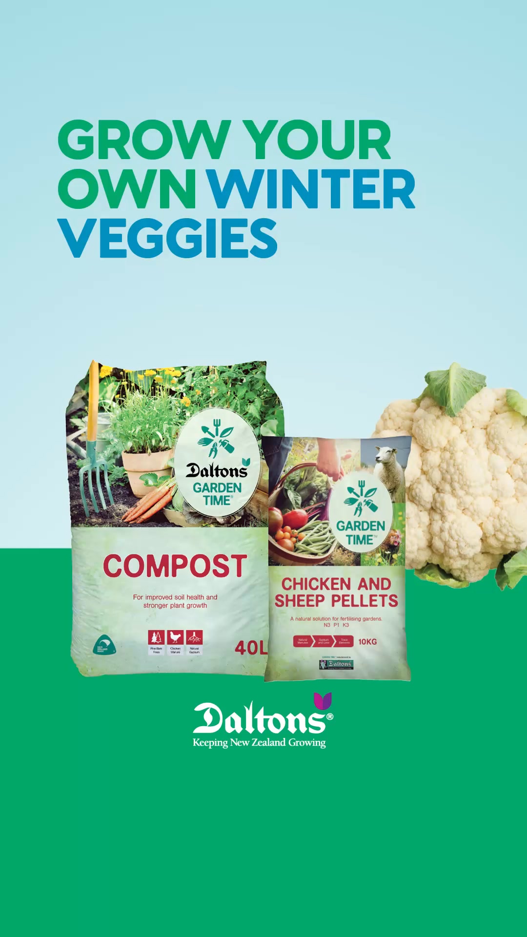 Plan Your Winter Garden With Daltons