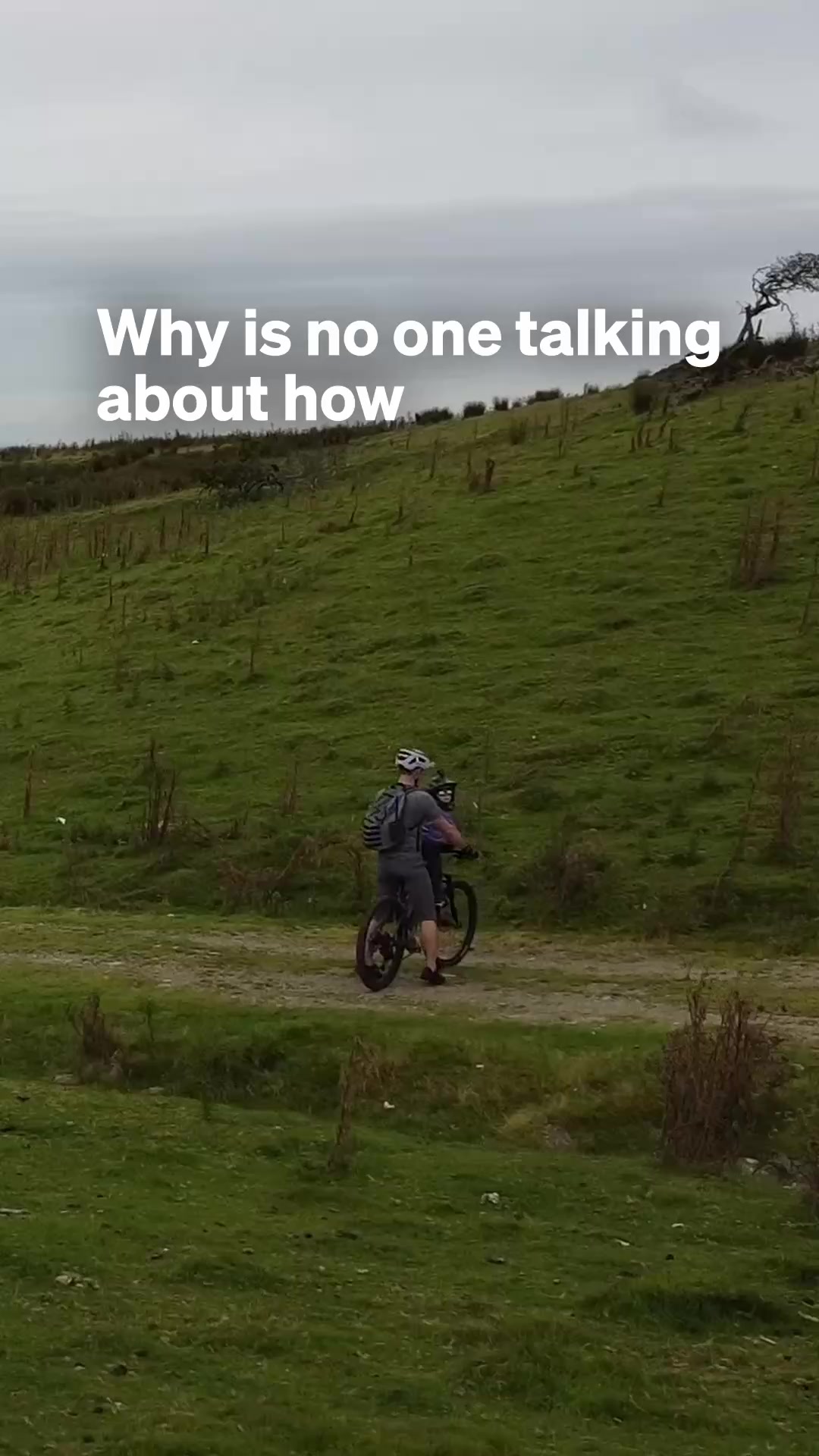 Front Mounted Child Bike Seats | FREE Shipping