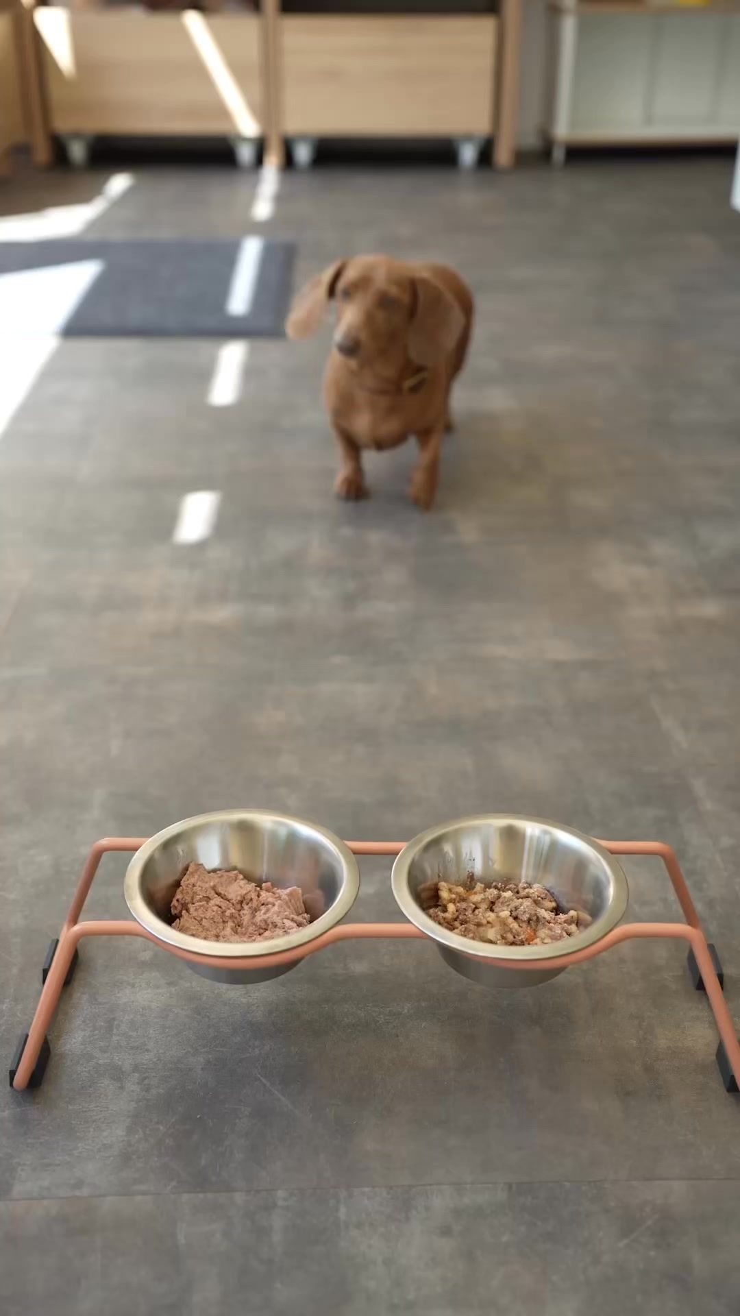 Mit gutem Gefühl füttern! 🐕