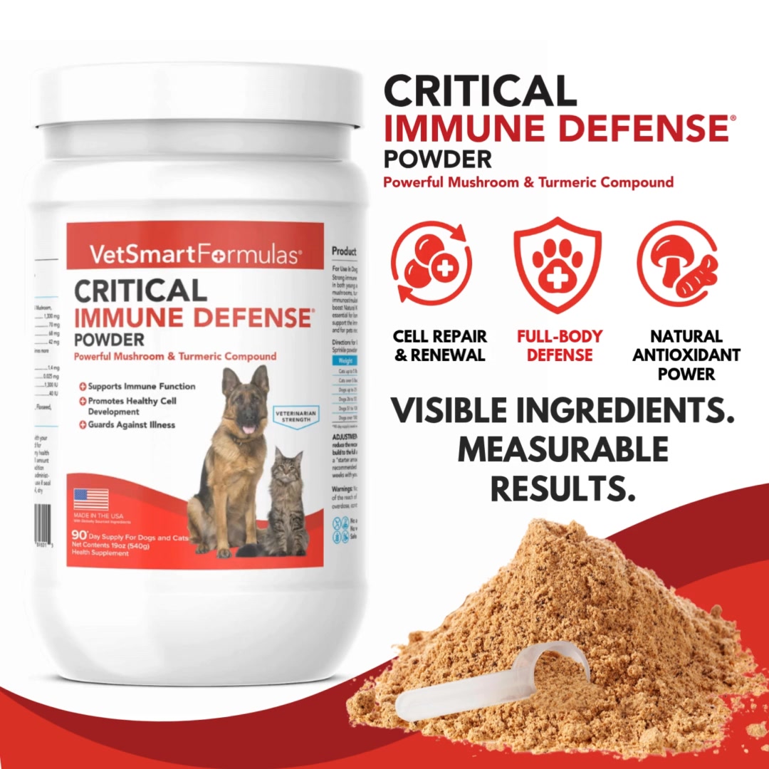 𝗦𝘁𝗿𝗲𝗻𝗴𝘁𝗵 𝗦𝘁𝗮𝗿𝘁𝘀 𝗳𝗿𝗼𝗺 𝗪𝗶𝘁𝗵𝗶𝗻!