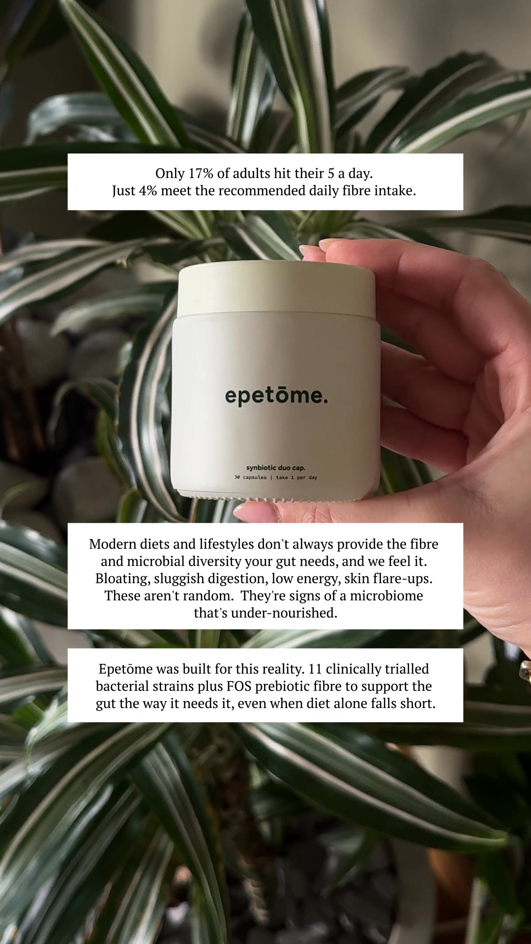 look after your gut.